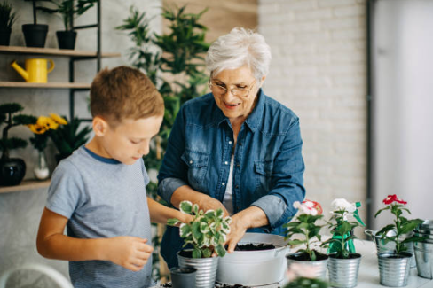 Most Popular Potted Plants to Kickstart Your Mini Garden
