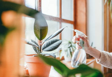 Common Watering Mistakes and How to Avoid Them