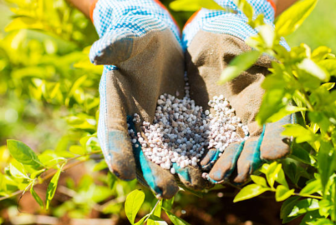Advanced Nutrient Management and Fertilization Logic