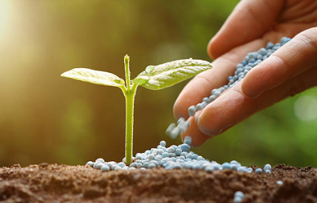 Technical Steps for Soil Remediation and Improvement