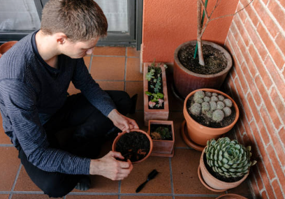 Nurturing Your Urban Oasis: Care, Maintenance, and Troubleshooting