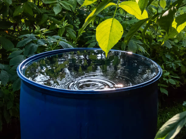 Essential Components of a Rainwater Harvesting System