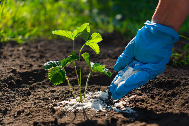 Innovative Strategies for Repurposing Garden Waste