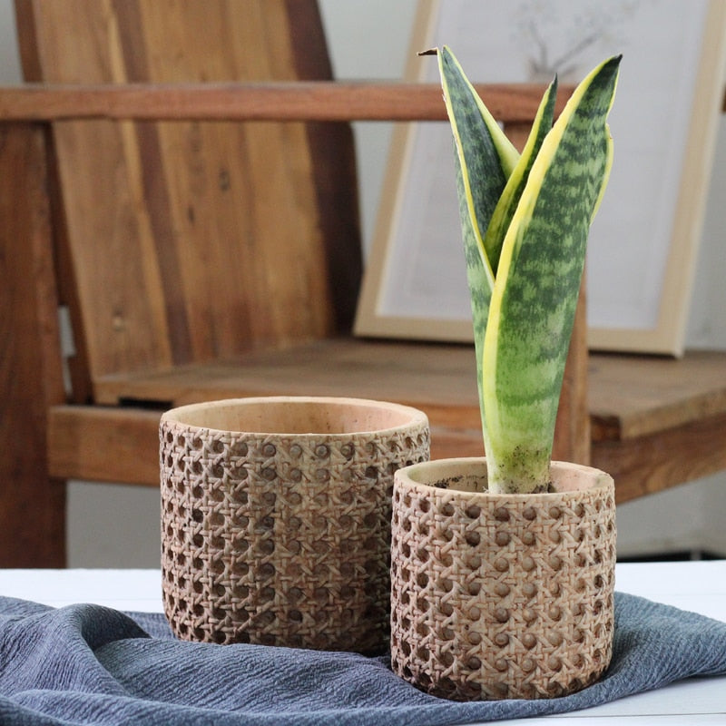 The Fundamental Comparison: Clay vs. Ceramic vs. Plastic