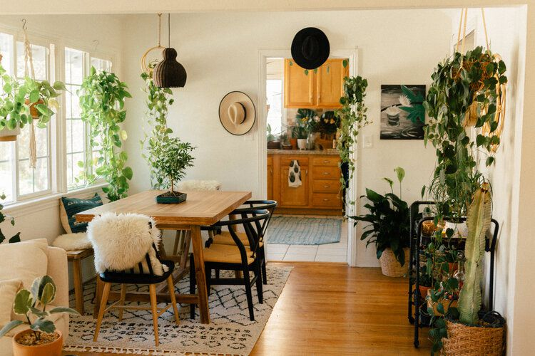 Mastering Your Microclimate: Identifying Ideal Small Garden Locations