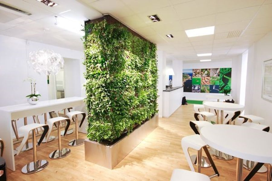 Innovative Techniques for Maximizing Space: Verticality and Beyond